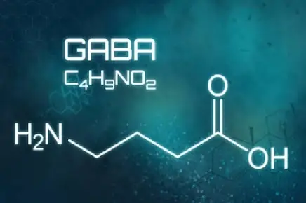 L-Theanine