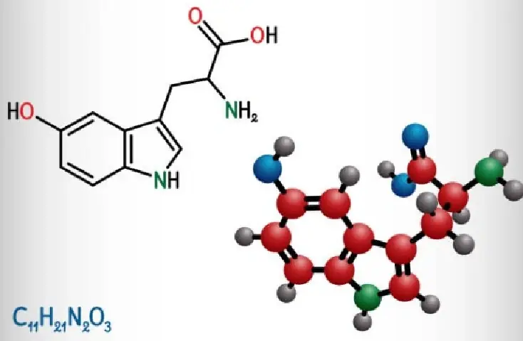 Melatonin + GABA